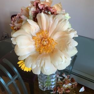 Meet your Posher, Judy